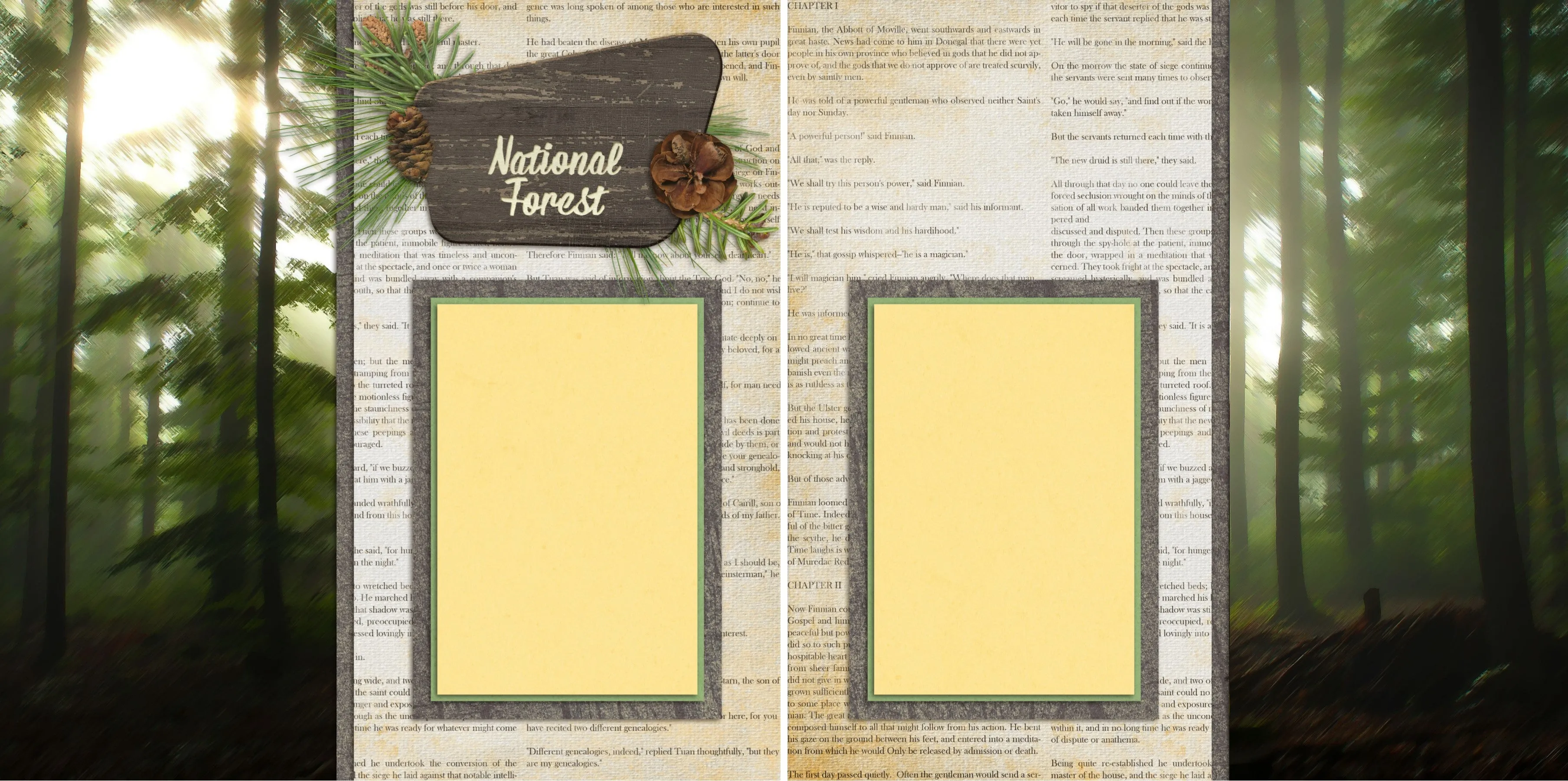 National Forest - 2094